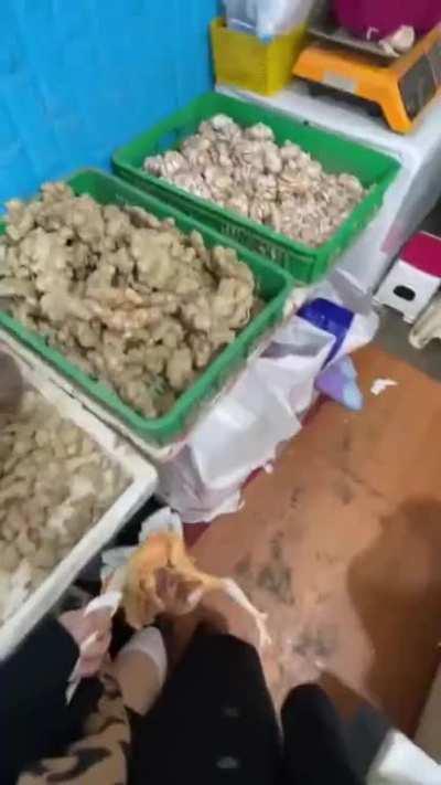 é¥­å¤å¤ depression arc