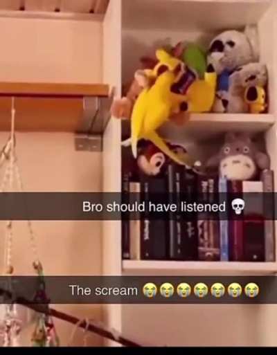 he was warned not to do it.