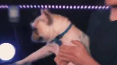 POV you didn't upvote