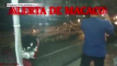 😳😳😳😳ALBERTA DAH MACOACOA😳😳😳