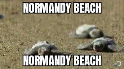 Savin Privedick Steve 😎😎😎