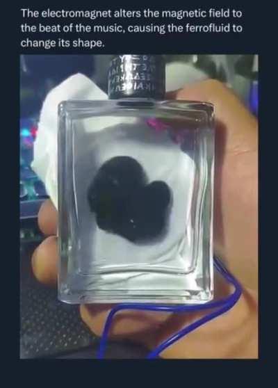 Venom pulses on beat of the music