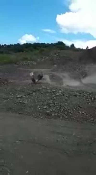 Honking just made the difference