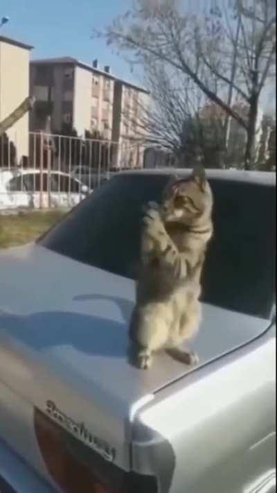 Koach ko choke karne se bachao Bhagwan!