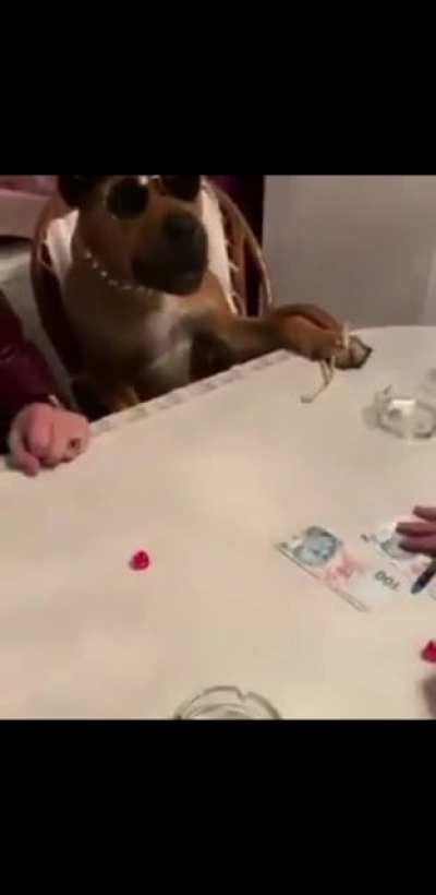 Only in Turkey Part 2