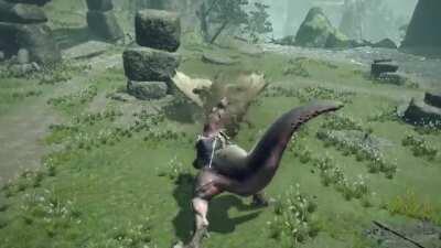 Wyvern Riding Showcase