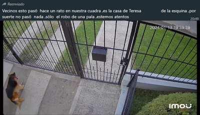 Literalmente agarró la pala