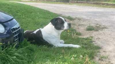 Ammo wishes Reddit a Good Friday. :)