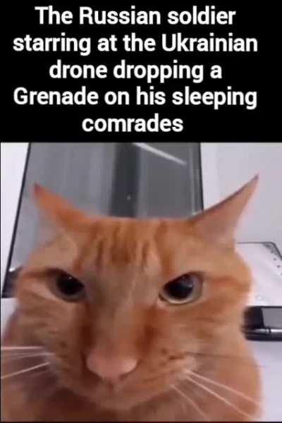 THE SCREAMS ARE DRIVING ME INSANE