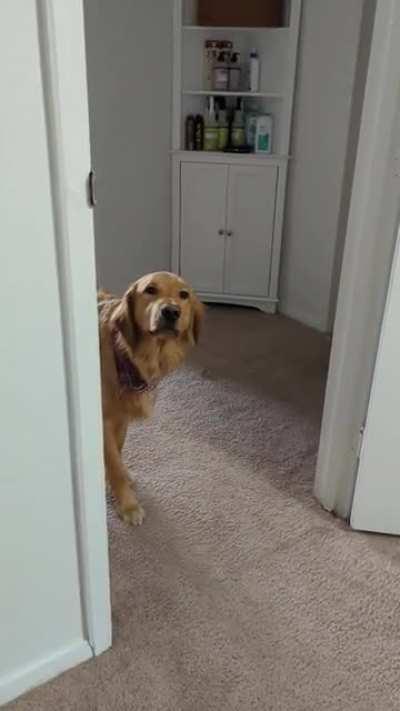 He thinks he's sneaky