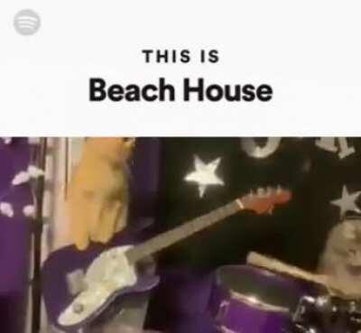 their best live performance