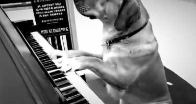 chills bro. chills 👏😢