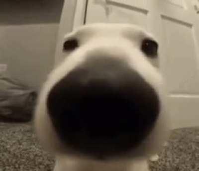 aweonasogang - Video #6017