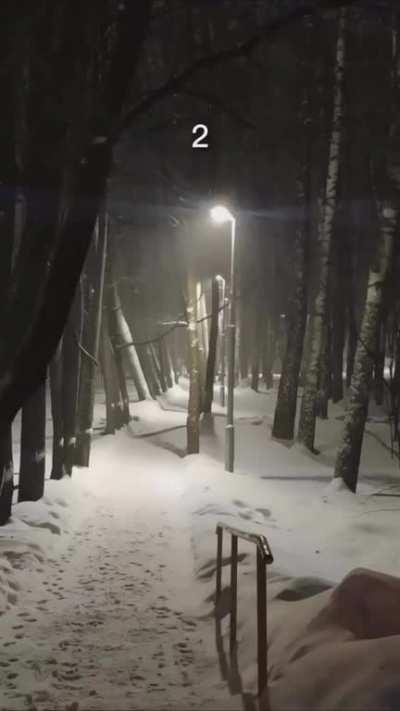 Which way would you go?