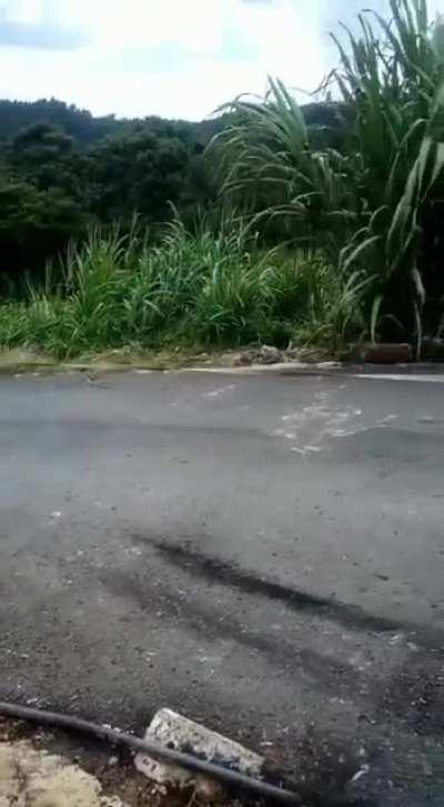 Jamaica is not a real place