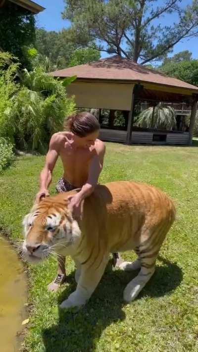 Regardless of size, a cat is still a cat