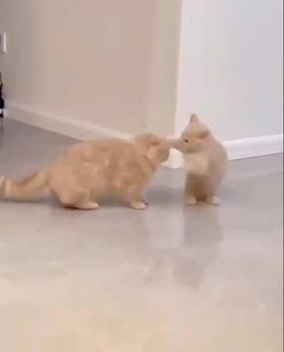 Think this was a hit and run situation