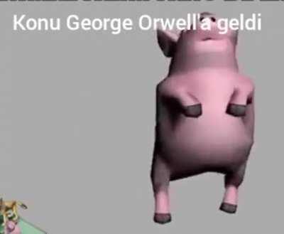 Domuzlar çok zekiler 😏