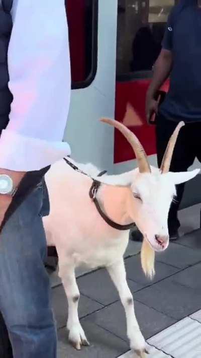 Wer von euch war das?