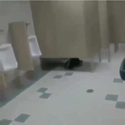 AAaaaaaaAaAaAAaaAaAaaAahAhhh?!?!?