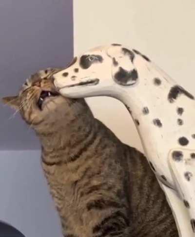 He has become one with the statue