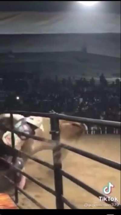 Rodeo bull makes quick work of Rodeo Clowns.