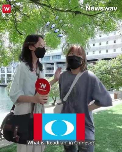 Newswav Asks: Can young voters recognize this political flags