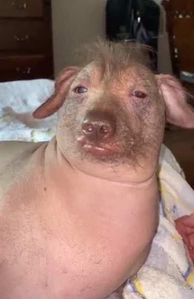 He’s a happy ‘lil nutsack