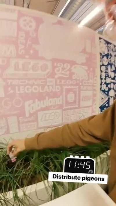 A day in the life of a Lego designer