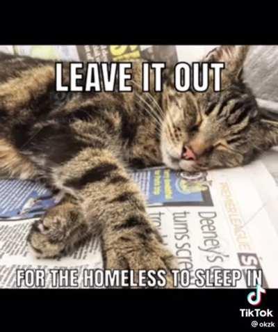 My existence is a momentary lapse of reason