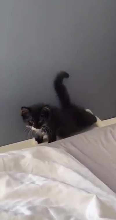 Just a few more minutes...