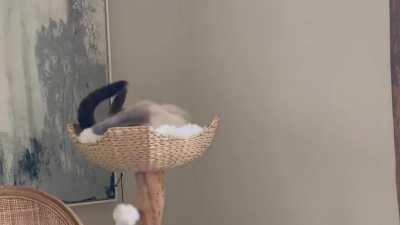 A slight miscalculation on how much wiggle room she has…