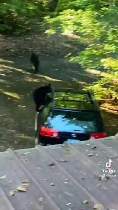 Typical Mark leaving his windows down