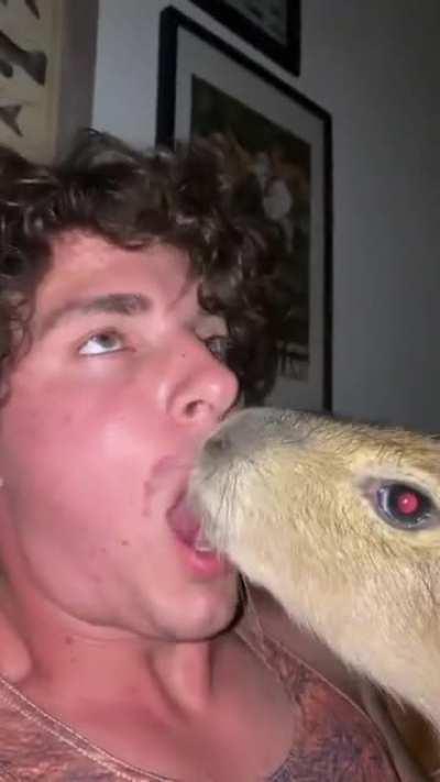 Ok I pull up.... 🐀