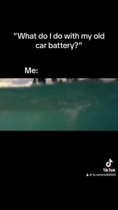 Someone’s got to charge the electric eels