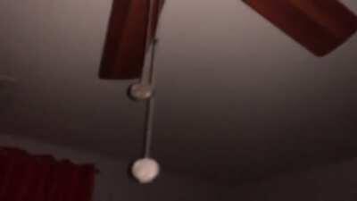 G E T O U T T A M Y S W A M P