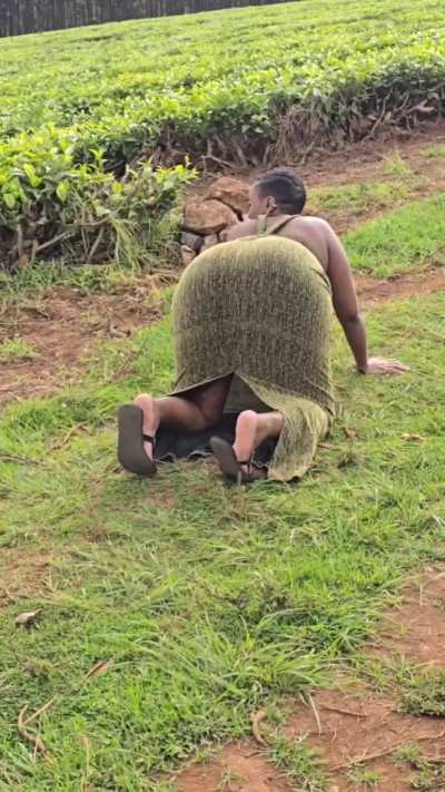 some green to accompany the african fat ass