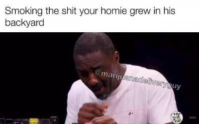 They’ll swear they can become a top grower in the region