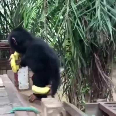 ‼️MAJOR SIGMA KEY‼️🗝️💰💰😎