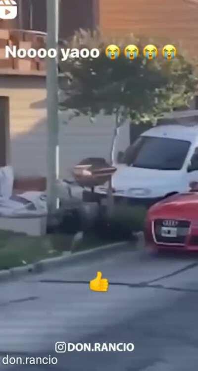 ¿Yao Cabrera buscando fama? (video resubido)