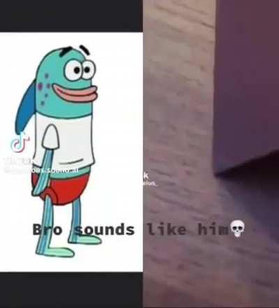 shitposting - Video #0619