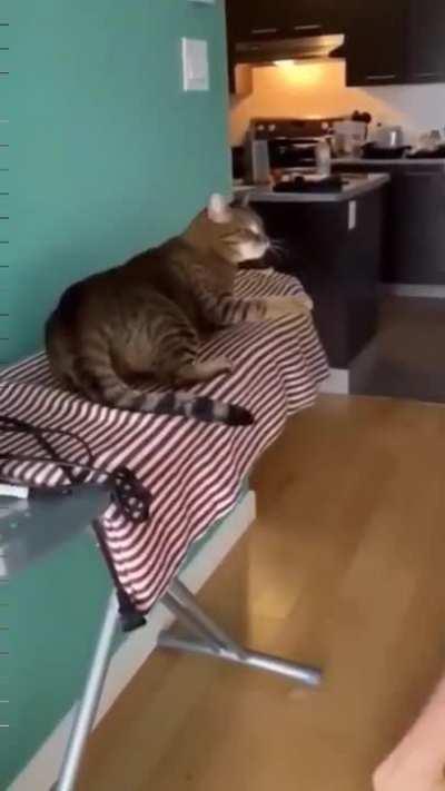 Did I just see what I think I saw??