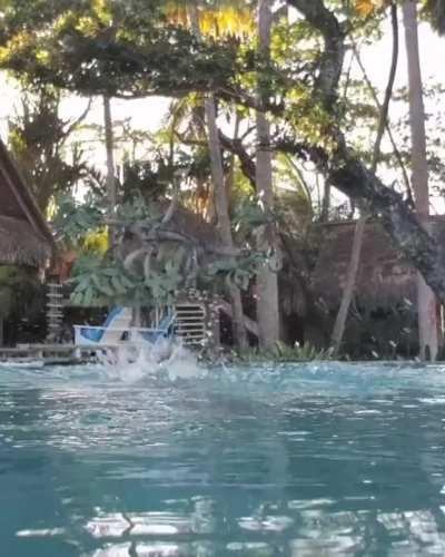 Cute girl with big beautiful boobs