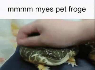 Yes pet the frog