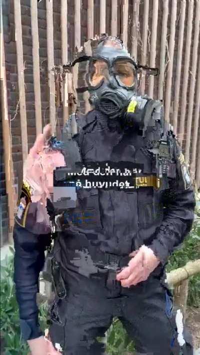 This Swedish customs agent makes me want to get frisked.