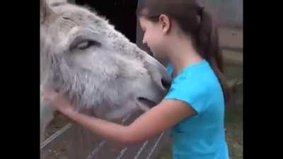 This girl from Germany helped raised this donkey when he was born.