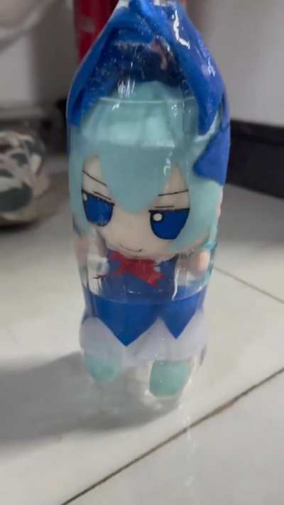 Chiruno what have they done to you