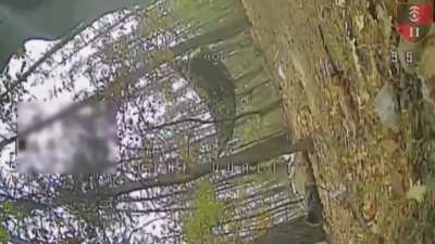 Remote detonation of Ukrainian FPV drone near a group of russian soldiers