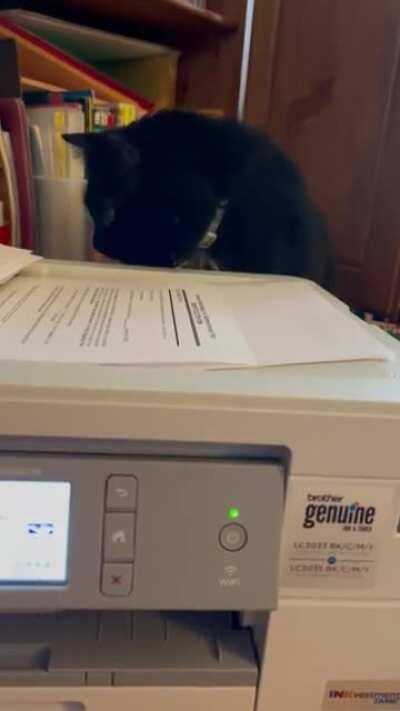Performing a cat scan on every print out
