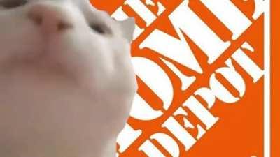 HOME DEPOT CAT, HOME DEPOT CAT